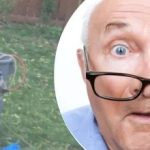 Dīvains atklājums pie koka lika kaimiņam neizpratnē: kādu noslēpumu viņa