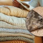 Kā atbrīvoties no kodes skapjos: tikai viens augs palīdzēs aizmirst