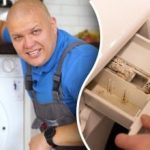 Kā tīrīt veļas mašīnu no pelējuma un smakas: lēti speciālistu