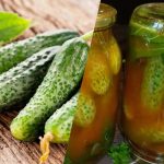 Kā ziemai ieklāt gurķus čili kečupā: 3 nesalīdzināmas receptes